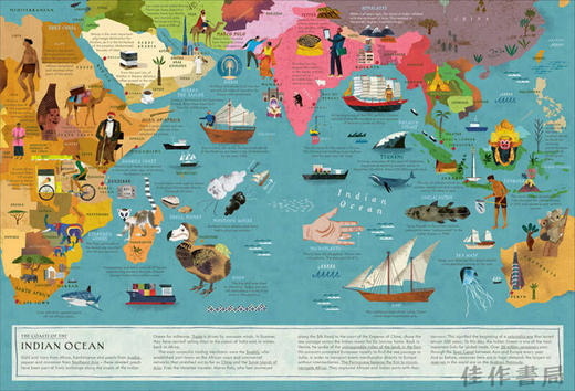 By the Sea: Life Along the Coast / 海边：沿海生活 商品图2