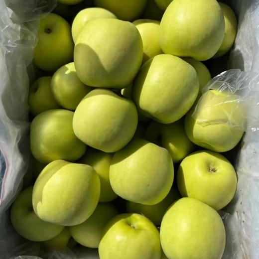 甜果源源 陕西西安瑞雪苹果 水果礼盒 商品图2