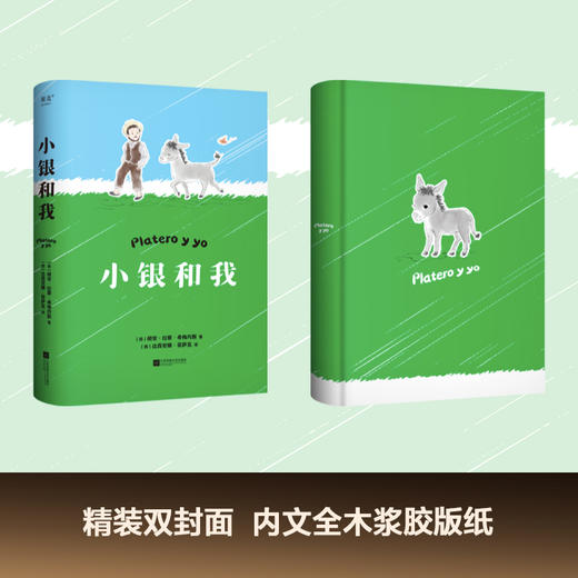 小银和我（写给大人和孩子的童话，与《小王子》齐名的心灵读本） 商品图1