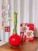 秘鲁进口巨型腊球朱顶红包邮 商品缩略图5
