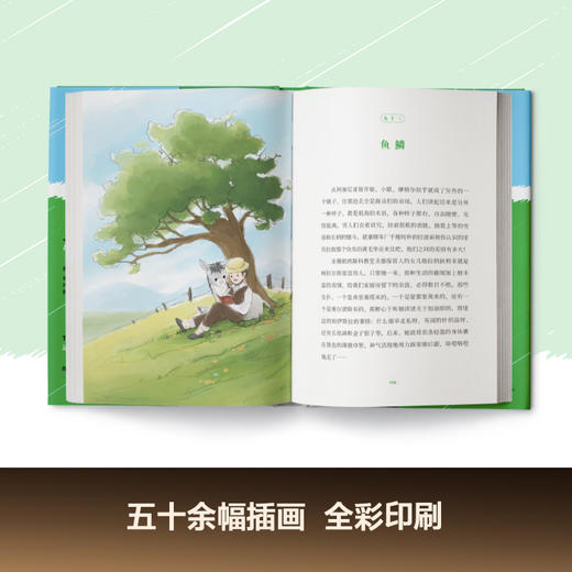 小银和我（写给大人和孩子的童话，与《小王子》齐名的心灵读本） 商品图3