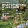 陕西兴皇有机红富士苹果 10斤装（含箱） 商品缩略图0
