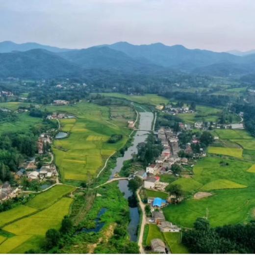 信阳鸡公山自然生态 申溪红米10斤 商品图2