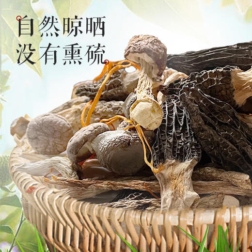 菇去锦来羊肚菌六味菌菇汤包菌汤包 暖心暖胃菌汤包，6种山珍菌菇，自带鲜味，泡发半小时可用， 商品图5