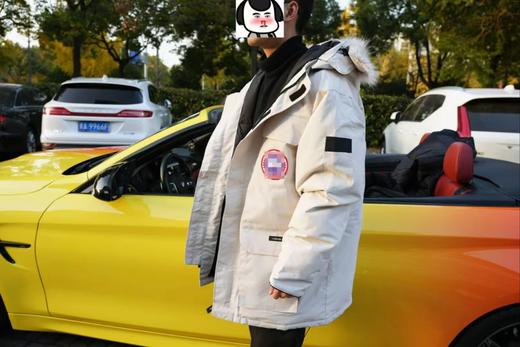 【z】【非品牌产品】某鹅 某面1996羽绒服经典款 商品图1