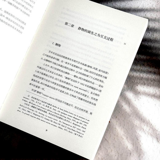 画作的诞生 近代早期欧洲的元绘画 六点图书 维克多·斯托伊奇塔 商品图10