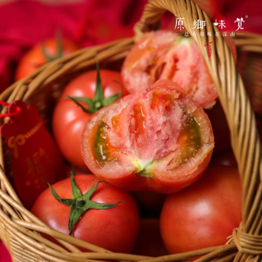 有机番茄西红柿（基地直发-顺丰/京东包邮） | 多种规格，来自四只瓢虫兄弟农场，生产者：詹志宇【合作生产，公平贸易】 商品图1