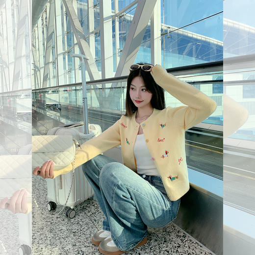 <曾小咸推荐>2.6现货秒杀 ！微信超特价！绣花小狗系扣毛衣开衫 日常189.99 立减100 秒杀89.99！！ 商品图3