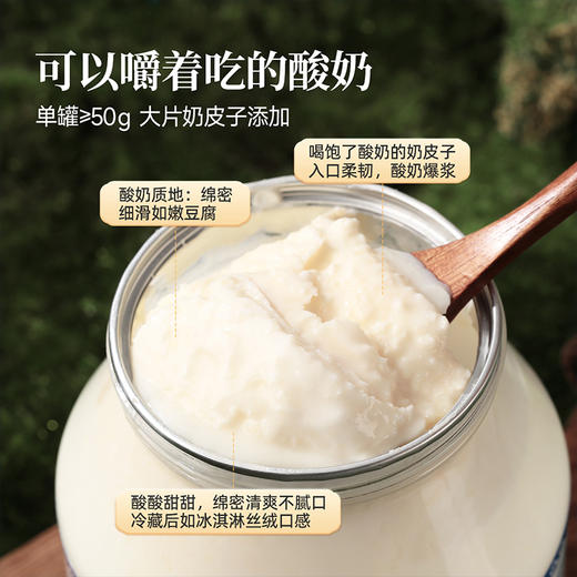 【FX】西域美农欧若姆鲜奶皮子酸奶 570g*2原味有蔗糖无蔗糖/1000g*2原味/酸奶PLUS 商品图7