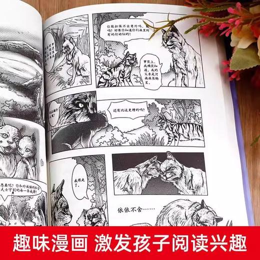 猫武士（首）一部曲全套6册呼唤野性寒冰烈火疑云重重风起云涌险路惊魂力挽狂澜儿童动物小说故事 商品图3