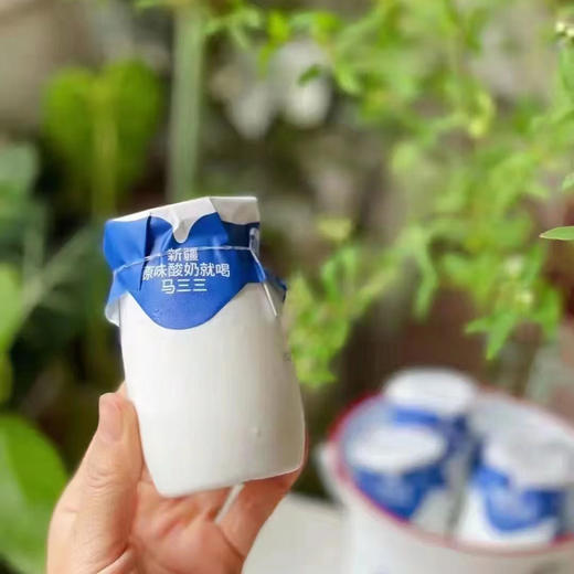 【新疆小白罐-原味酸奶 /无糖酸奶】原味0添加，来自天山的纯净奶源，喝出儿时味 商品图3
