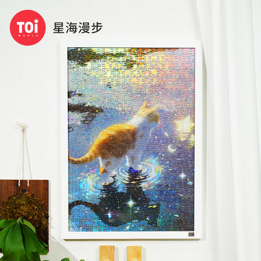 TOi图益-潮玩拼图系列-星海漫步-500片-分包款 商品图0