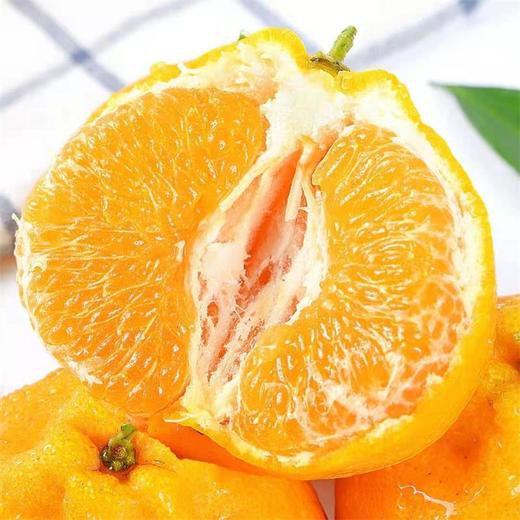 甜果源源 四川不知火丑橘丑八怪橘子 商品图1
