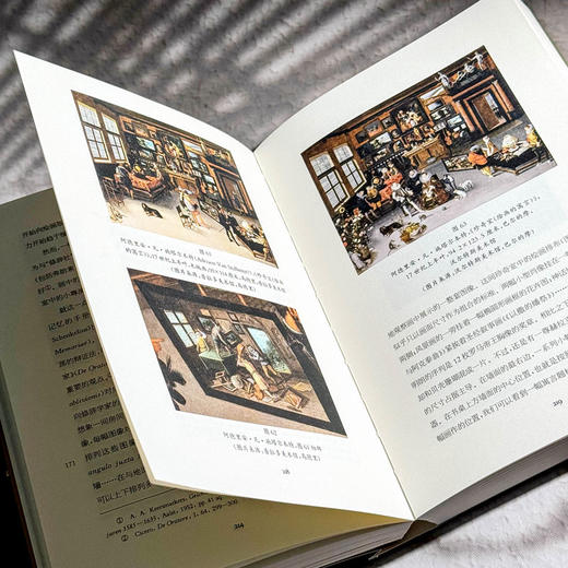 画作的诞生 近代早期欧洲的元绘画 六点图书 维克多·斯托伊奇塔 商品图11