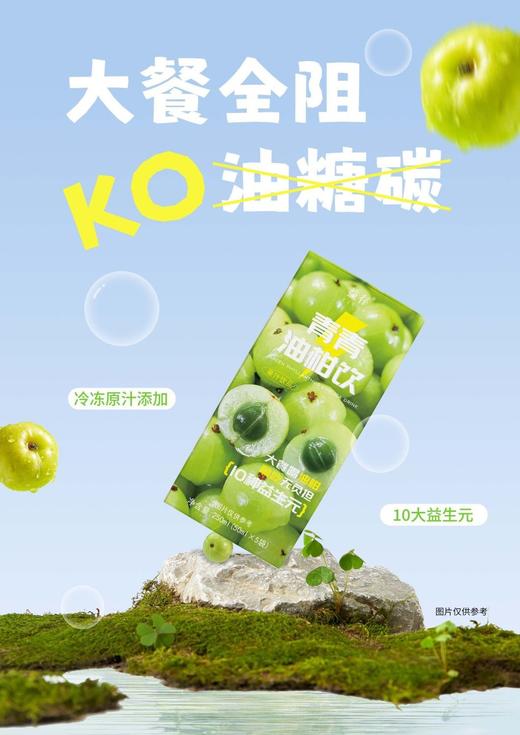 油柑饮解腻膳食益生元畅饮 商品图4