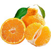 甜果源源 四川不知火丑橘丑八怪橘子 商品缩略图3