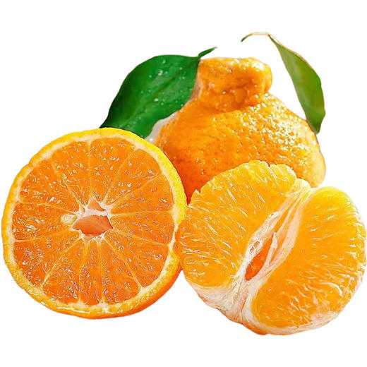 甜果源源 四川不知火丑橘丑八怪橘子 商品图3