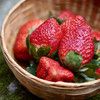 四川大凉山露天奶油草莓 ， 冬天第一口，念念不忘的美味【G】 商品缩略图2