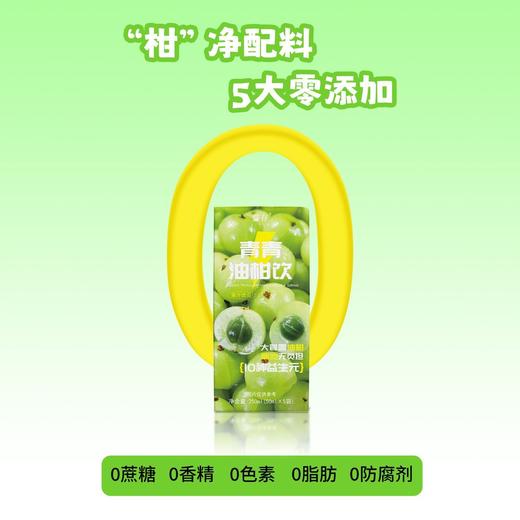 油柑饮解腻膳食益生元畅饮 商品图2