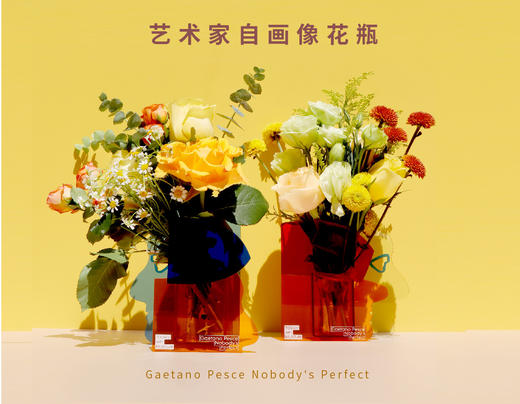 今日美术馆×加埃塔诺 佩谢 商品图7