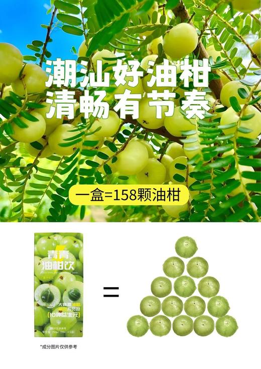 油柑饮解腻膳食益生元畅饮 商品图0