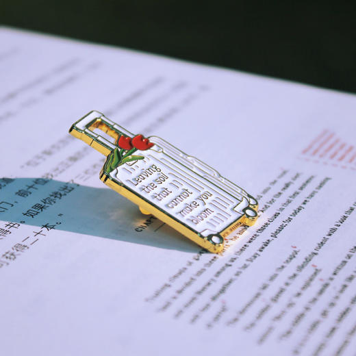 一周文案原创正版 不内耗金属徽章胸针 离开无法让你开花的土壤 商品图4