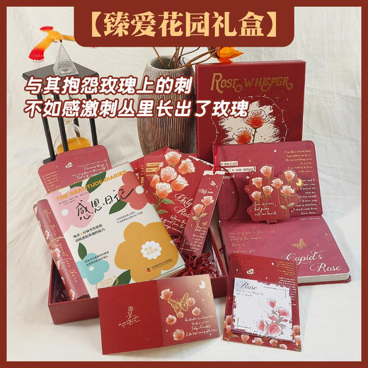 臻爱花园礼盒  用书写找到爱的内心花园 商品图2