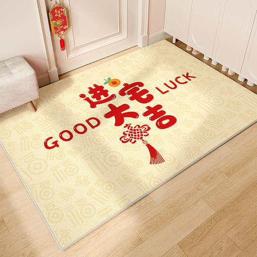 【新年好物！水晶绒地毯】红色入户门地垫高级感 吸水防滑脚踏垫 家用耐脏易打理 水晶绒地垫-QQ 商品图12