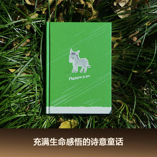 小银和我（写给大人和孩子的童话，与《小王子》齐名的心灵读本） 商品图4