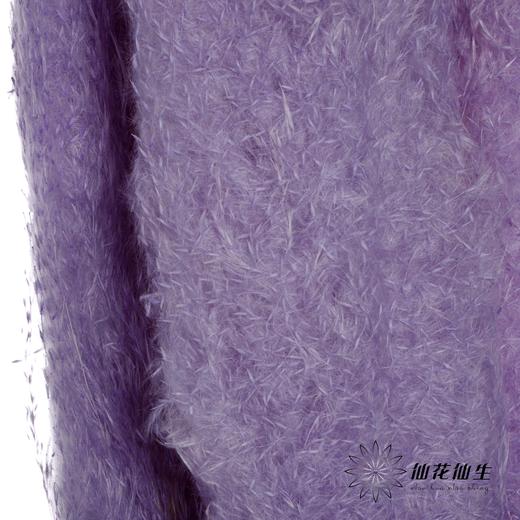 干花 | 大芦苇篮紫 商品图3