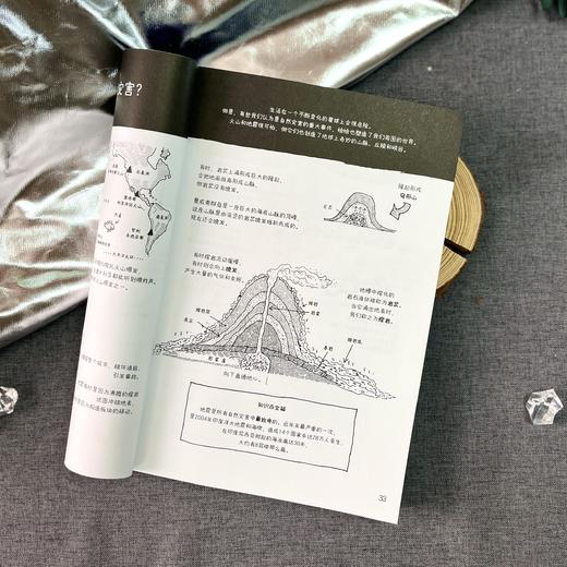 特里·丹顿神奇万物指南 商品图4