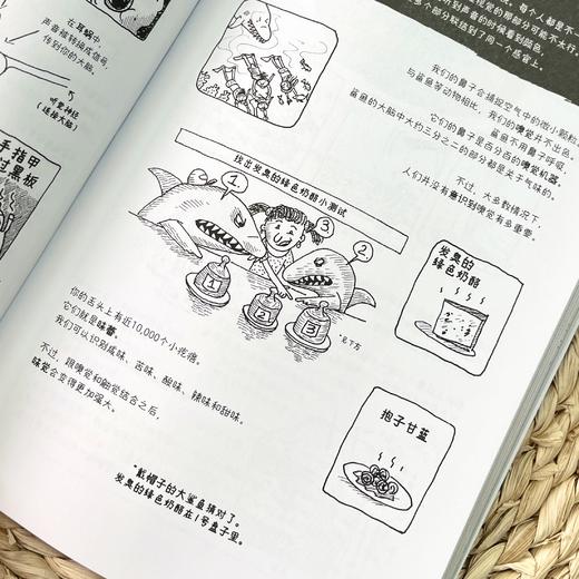 特里·丹顿神奇万物指南 商品图8