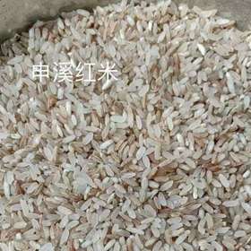 信阳鸡公山自然生态 申溪红米10斤