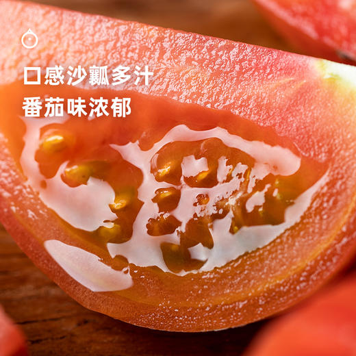 5天内发 企鹅市集|大凉山阳光大番茄 秀福番茄 3斤/6斤可选 汁水饱满 黄金酸甜比 沙瓤番茄 水果 商品图1
