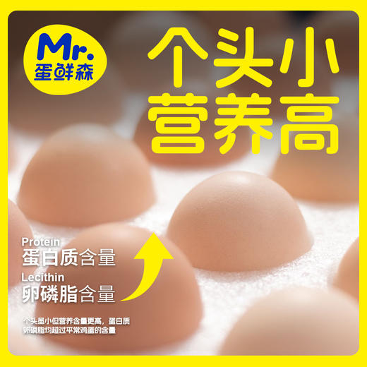 一年只卖一个月 限量2000盒 蛋鲜森金奖无抗初生蛋 蛋鲜森可生食土鸡蛋 顺丰/京东发 商品图7