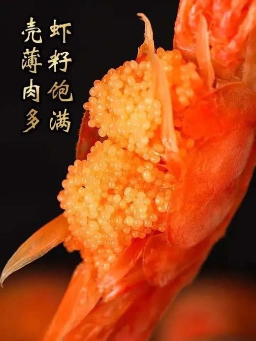 【分仓直发包邮】北极甜虾腹籽3斤装（盒装） 商品图2