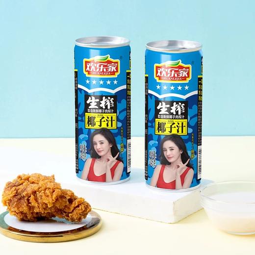 欢乐家生榨椰汁 245g*15瓶/件 商品图2