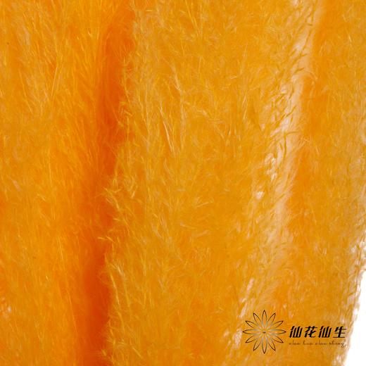 干花 | 大芦苇橘 商品图1