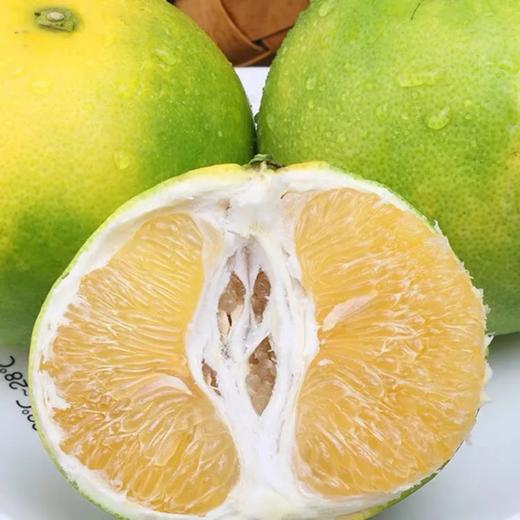甜果源源 福建翡翠葡萄柚 青皮柚 商品图2