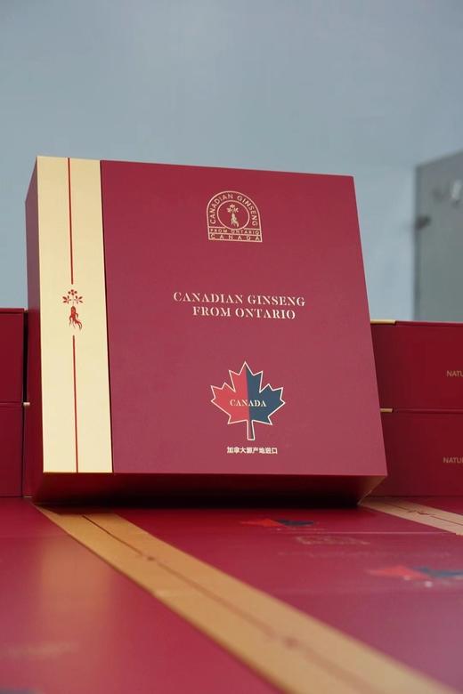 【新品】加拿大西洋参3g*48袋送精美316保温杯 商品图1