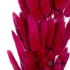 干花 | 兔尾草玫红 商品缩略图3