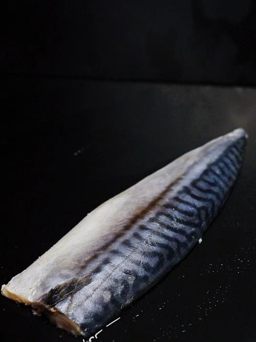 快晓鲜 · A级挪威原味野生青花鱼500g(3-4片)*1袋 商品图3