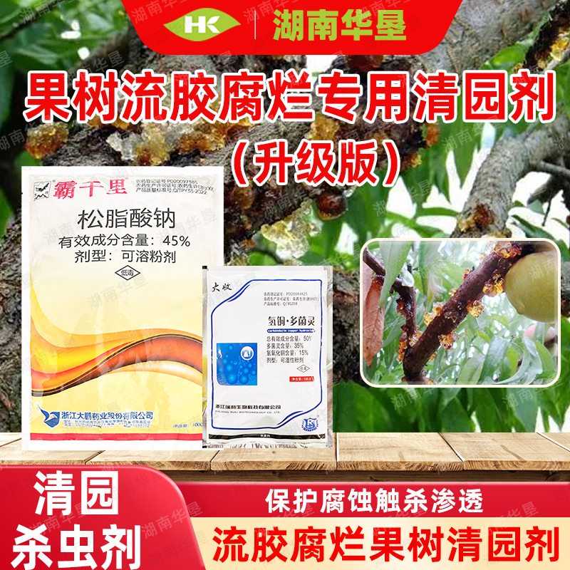 果树流胶溃疡腐烂清园松脂酸钠果园茶园清园专用