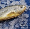 【同城包邮】丨团购·年货集【霞浦野化大黄花】丨商超价¥990 赞字村现货¥698丨约1.25kg/只 商品缩略图1
