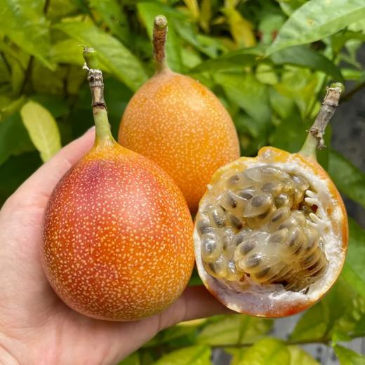 甜果源源 云南版纳黄金果热情果 商品图0