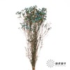 配花 | 平头腊梅雨墨蓝 商品缩略图1