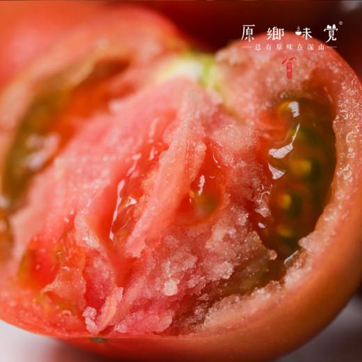 有机番茄西红柿（基地直发-顺丰/京东包邮） | 多种规格，来自四只瓢虫兄弟农场，生产者：詹志宇【合作生产，公平贸易】 商品图8