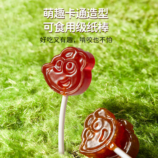 【孕味秒杀专属】小鹿蓝蓝 罗汉果枇杷梨膏棒棒糖/梨汁味/280g 商品图5