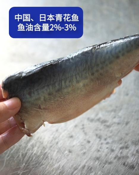快晓鲜 · A级挪威原味野生青花鱼500g(3-4片)*1袋 商品图1