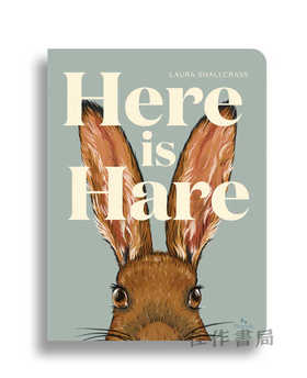 Here Is Hare / 这就是野兔